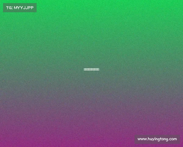 白鲨电子俱乐部在哪里